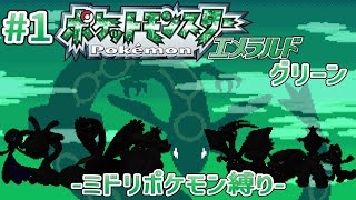ポケットモンスターエメラルドグリーン（ミドリポケモン縛り