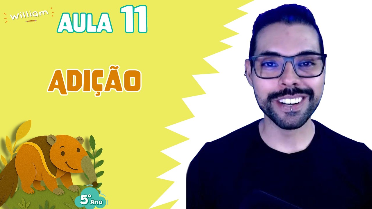 Aula 11 - Adição