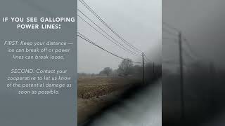 Galloping Lines Net Worth