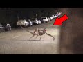 कैमरे में कैद 5 डरावनी और चौंकाने वाली चीजें 5 Most Unbelievable Moments Ever Caught on Camera