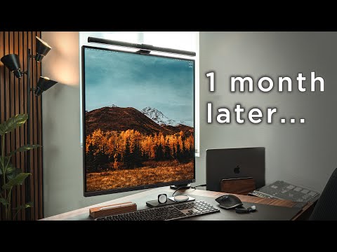 This Ultratall Monitor Is ODDLY Good - LG Dual Up