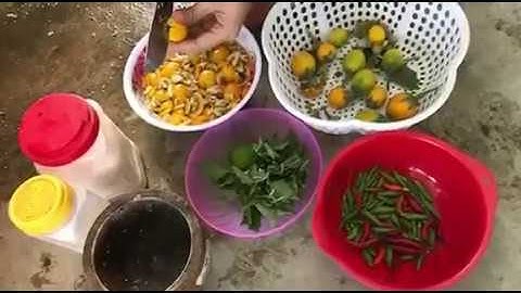 Hướng dẫn làm món cà đắng của người tây nguyên!