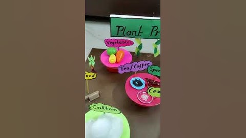 3d model of plant products #schoolproject