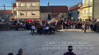 Capeia de Ano Novo. Aldeia Velha