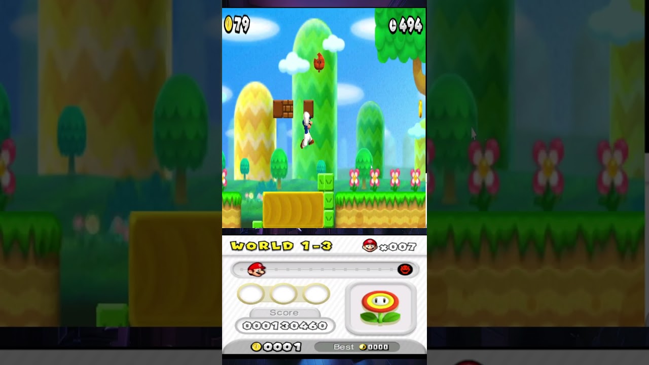 New Super Mario Bros  2