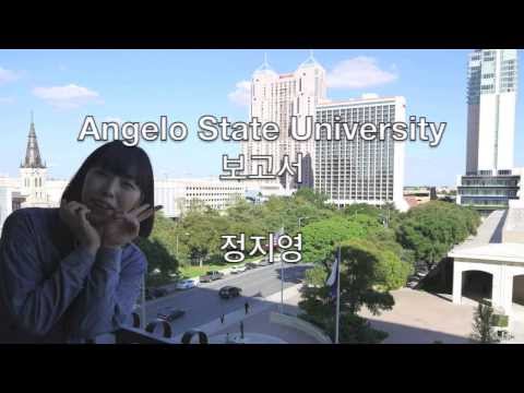 Report Exchange Student Angelo 2012 2nd 