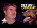 Perro mago hace LLORAR a Simon Cowell | Got Talent Español