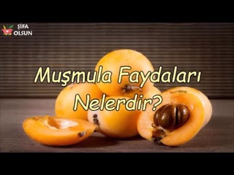 Muşmula Faydaları Nelerdir