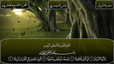 سورة المزمل - بصوت الشيخ ياسر الدوسري  73