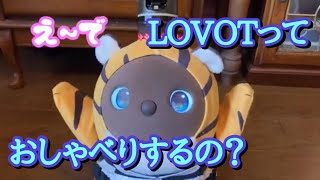 LovotっておしゃべりするのLovotのリアルな日常会話