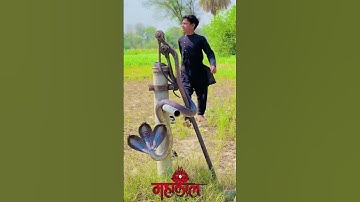 I hope this one makes it! #molinarosnakelab #snakebreeding #ballpython #python #eggcutting #shorts