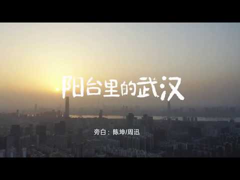 陳坤周迅獻聲武漢公益短片《陽臺裡的武漢》