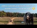 Umred Karandla Wildlife Safari | Rare Sloth Bear, Ghost Tree & Wild Encounters in Jungle