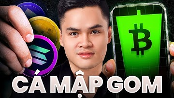 TIẾT LỘ 4 ALTCOIN TIỀM NĂNG ĐƯỢC CÁ MẬP GOM NHIỀU NHẤT CUỐI NĂM 2025!! BITCOIN SẮP CHẠM VÙNG NÀY...?