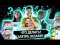 Как сдать ЕГЭ по обществознанию?