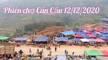 Phiên chợ Cán cấu bán toàn chó mông cộc, chó xù đẹp. pet dog, dog cute, puppy.