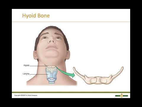 bone ID EA&P - YouTube