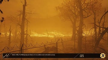 Encounter with sheepsquatch