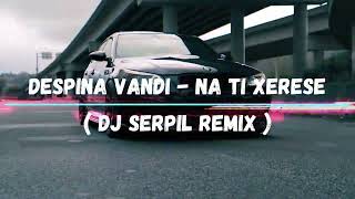 Despina Vandi - Na Ti Xerese ( Dj Serpil Remix ) Resimi