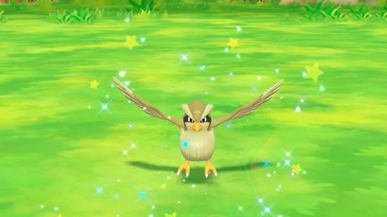 Shiny Pidgey In Pokemon Let S Go Pikachu Eevee Youtube Shiny Pidgey In Pokemon Let S Go Pikachu Eevee Youtube