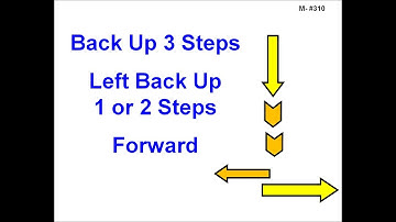 310. Backup 3 Steps - Left Backup 1 or 2 Steps – Forward - Version 2
