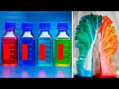The 5 Worst Artificial Food Additives And How To Eliminate Them