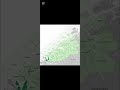 Møre og Romsdal Flag Map Part 1