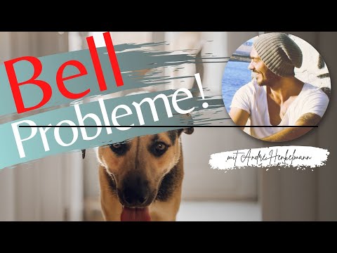 Video: Hilfe! Mein Hund knurrt, wenn er Leute begrüßt