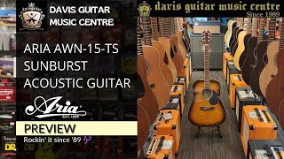 Aria Awn-15-Ts Sunburst Acoustic Guitar At Davis Guitar Music Centre Singapore