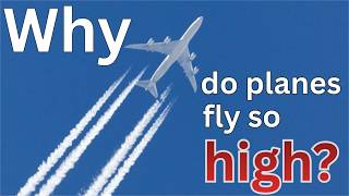 Full why do planes fly so high News