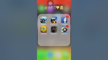 Crisis action bug 2017