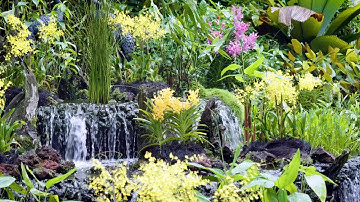 The Garden Gurus - The Worlds best botanic Garden