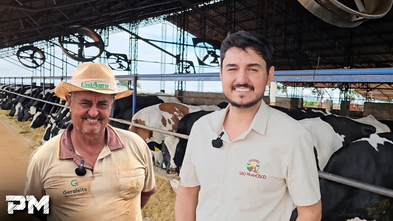 O PAI PASSOU A FAZENDA PARA O FILHO, A GENTE CRESCE OU PARA DE TIRAR LEITE