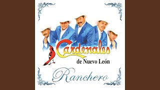 Video thumbnail of "Cardenales de Nuevo León - No Debemos Callar"