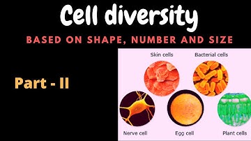 Cell Diversity - Based on number, shape and size