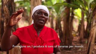 The Humble Banana Transforms an Entire Community in Eastern Zimbabwe.