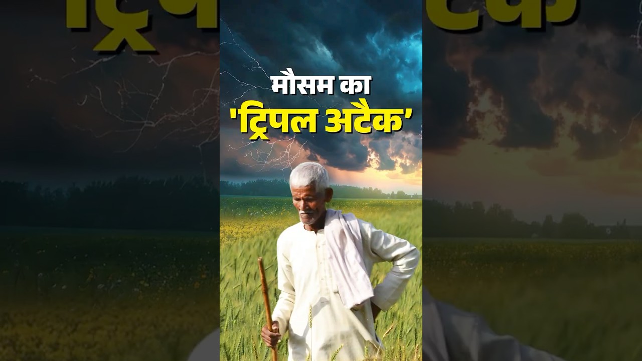 Weather Update: किसानों के लिए बड़ा मौसम अलर्ट,  बारिश, ओलावृष्टि और पाला खतरा