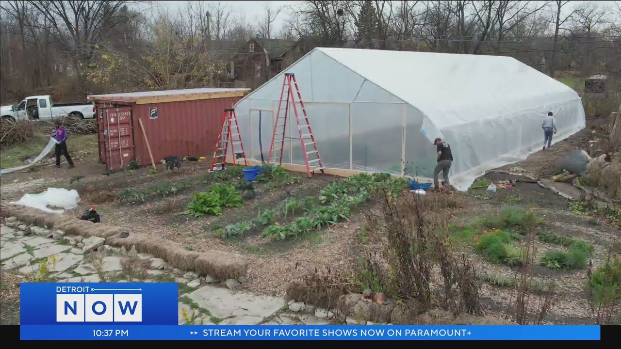 From farm to table: How urban farmers are helping food insecure neighborhoods in Detroit