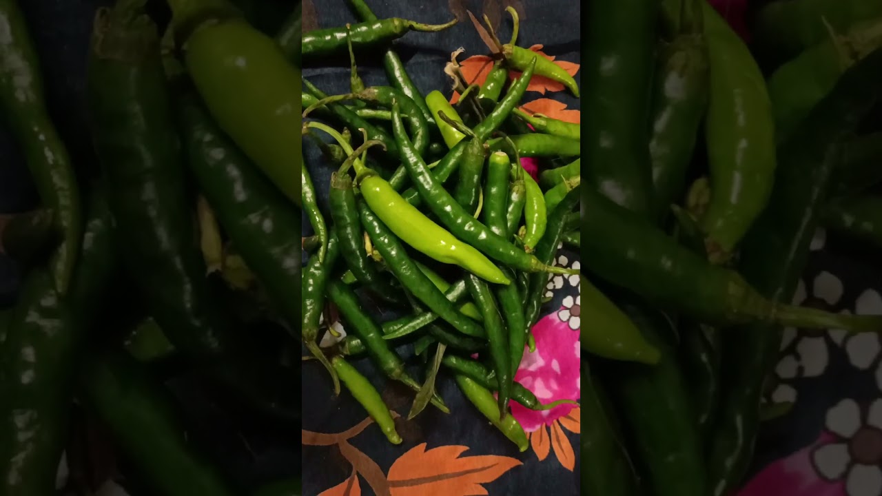 Big basket vegetables shopping 🛒🛍️ please subscribe my YouTube channel guys 