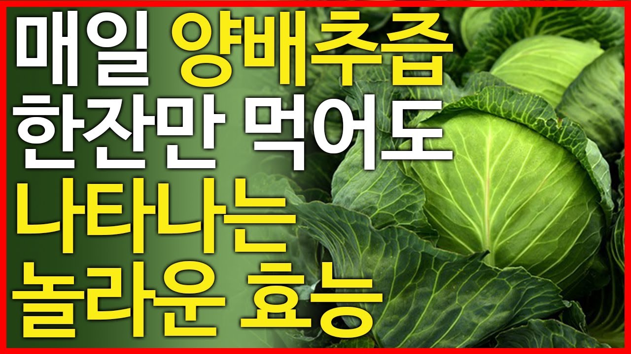 양배추즙 효능, 오래 살고 싶다면 매일 한잔만 드셔보세요