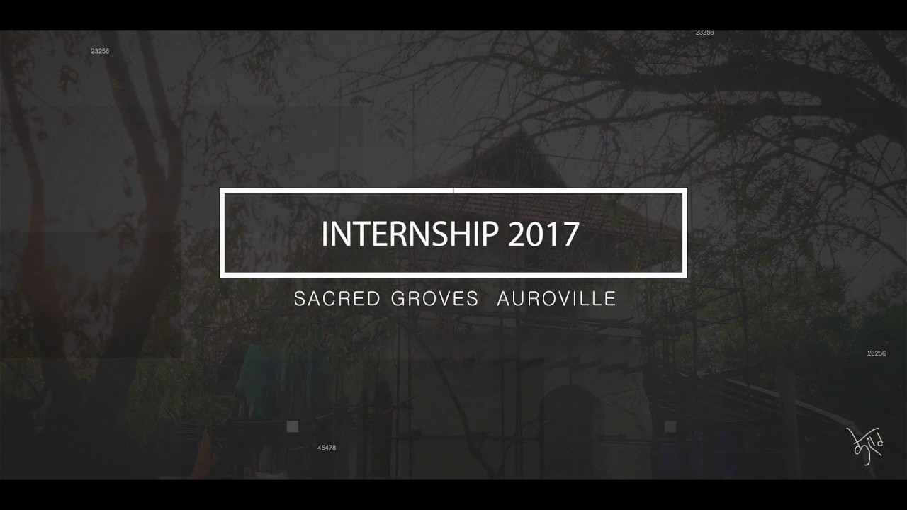 Internship | Sacred Groves 2017