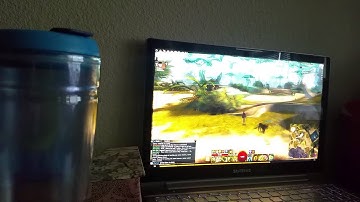 Guild wars 2 - super speed bug