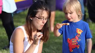 SicaMouse Photo Array