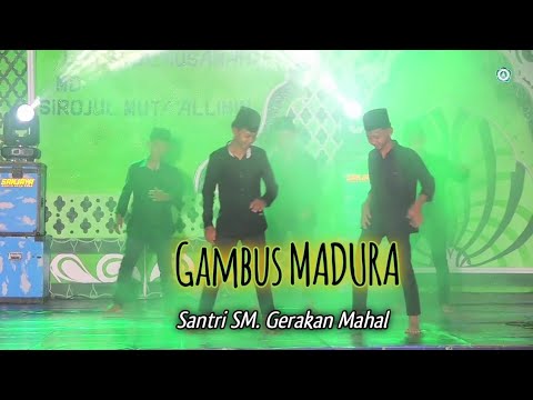 Gambus Versi || MADURA ||Oleh Santri SM. #gambus #madura #santri #pesantren #sorotan