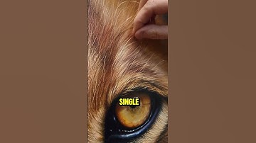 This Hyper Realistic Lion Painting Will Blow Your Mind