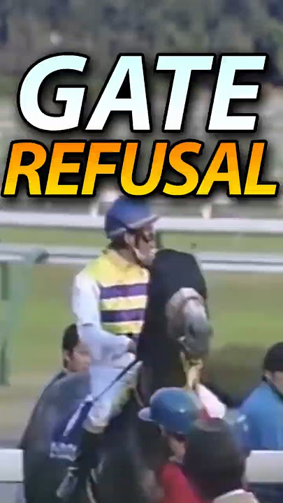 Seiun Sky Once Delayed a Race for 7 Minutes 😭