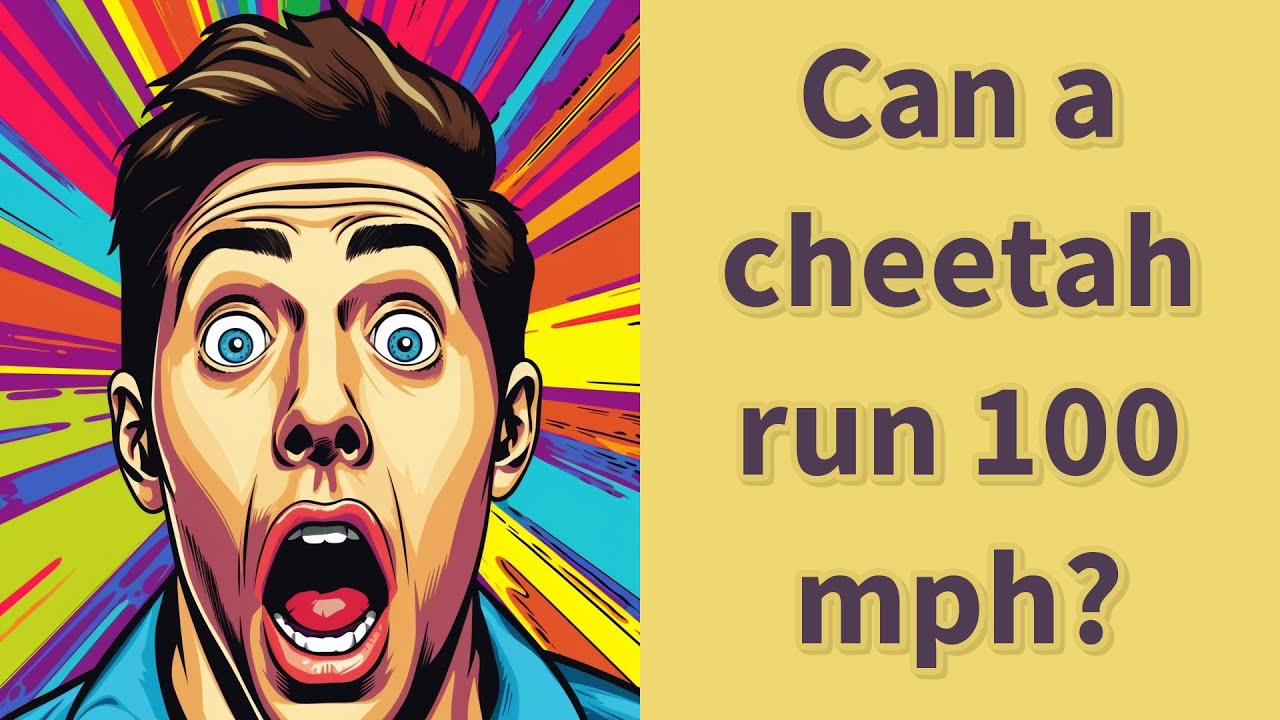 Can a cheetah run 100 mph? - YouTube