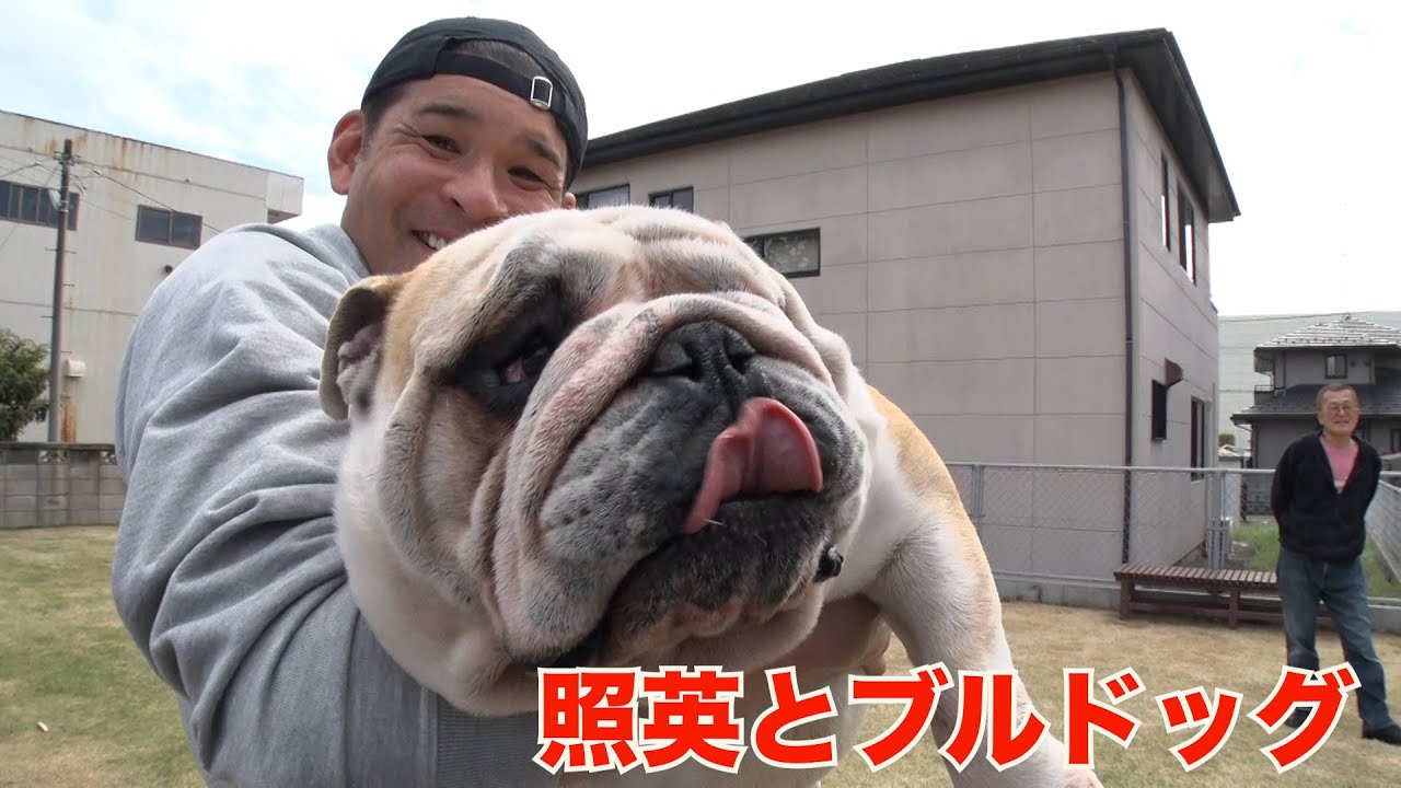 When Teruhide met the baby bulldog and champion, he was so