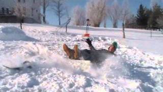 Snowboarding and Sledding Wipeouts (Shout-Stingray Music)