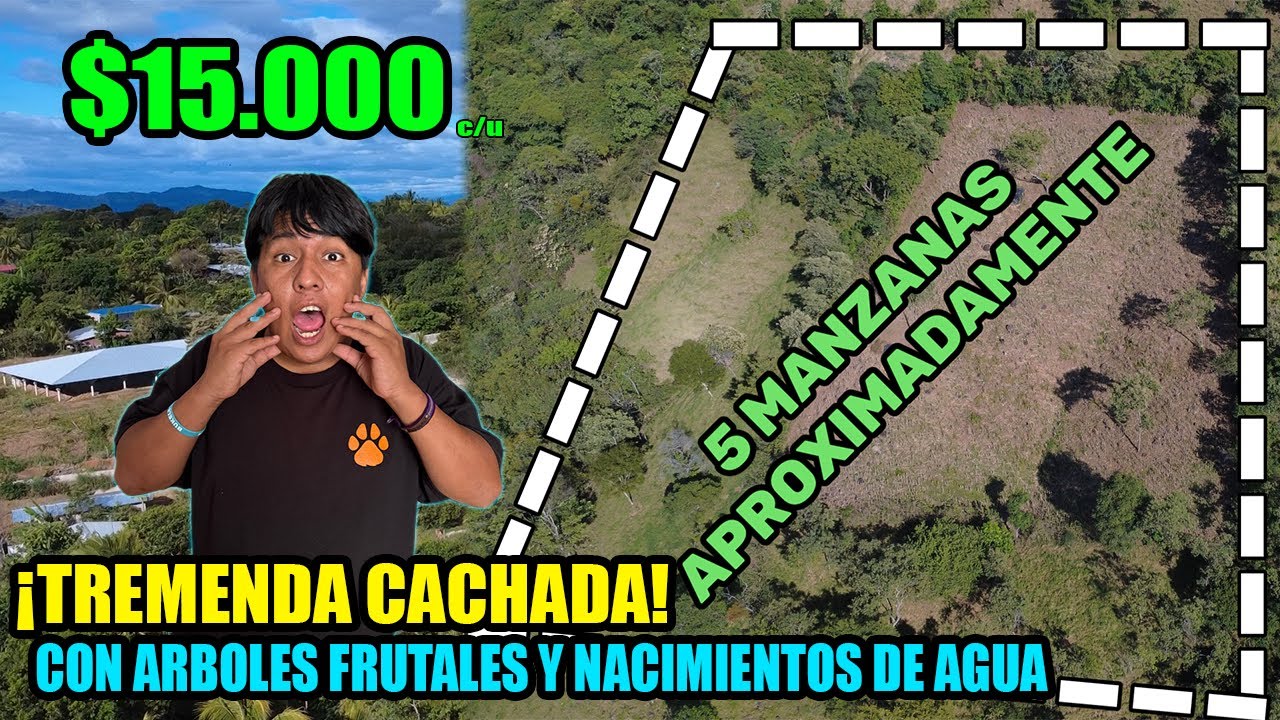 Vendo 5 manzanas de terreno en $15.000 c/u con Nacimientos de Agua y Arboles Frutales